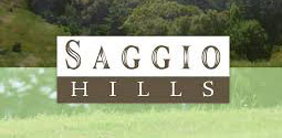 Saggio Hills